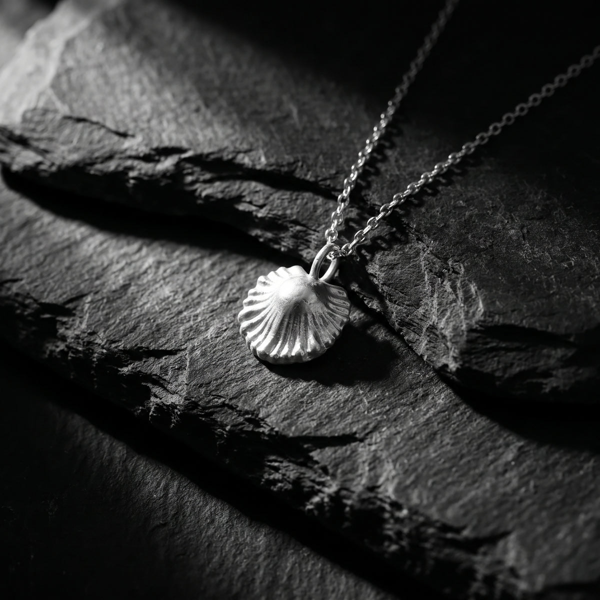 Collier pendentif coquillage Scallop Shell