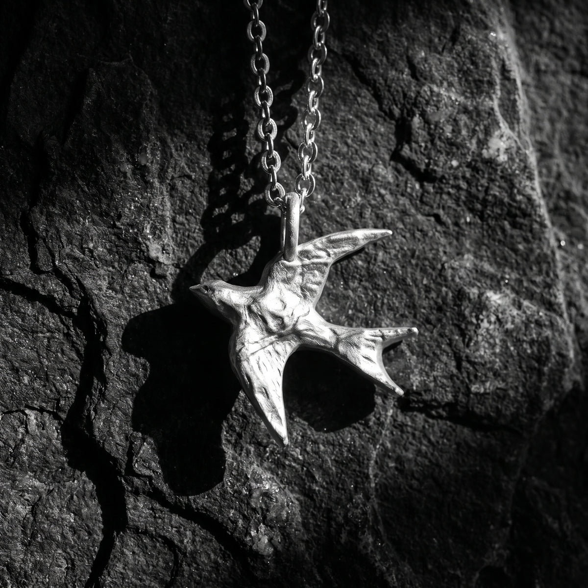 Le collier de l’hirondelle en plein vol