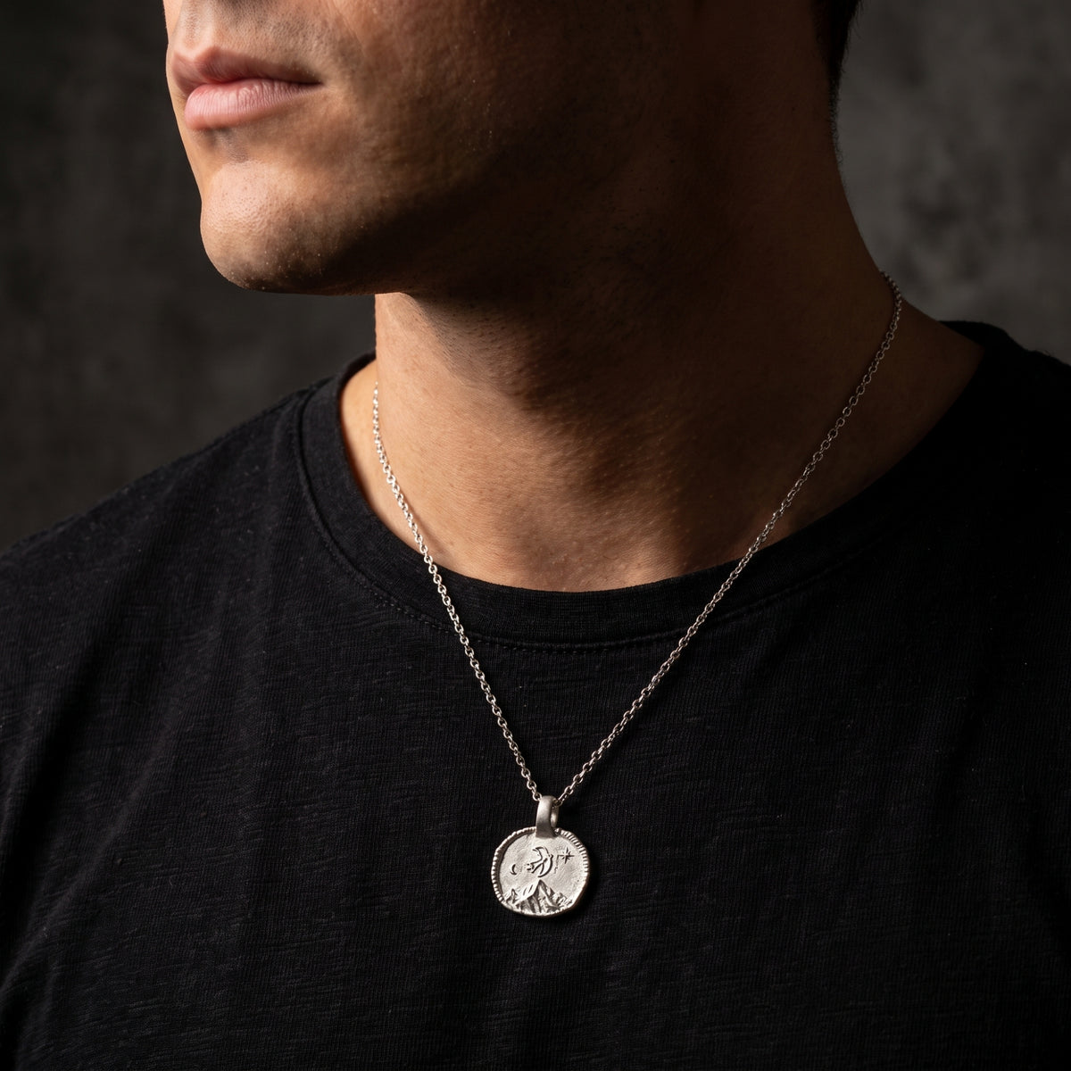 De Horizon-zwaluwketting