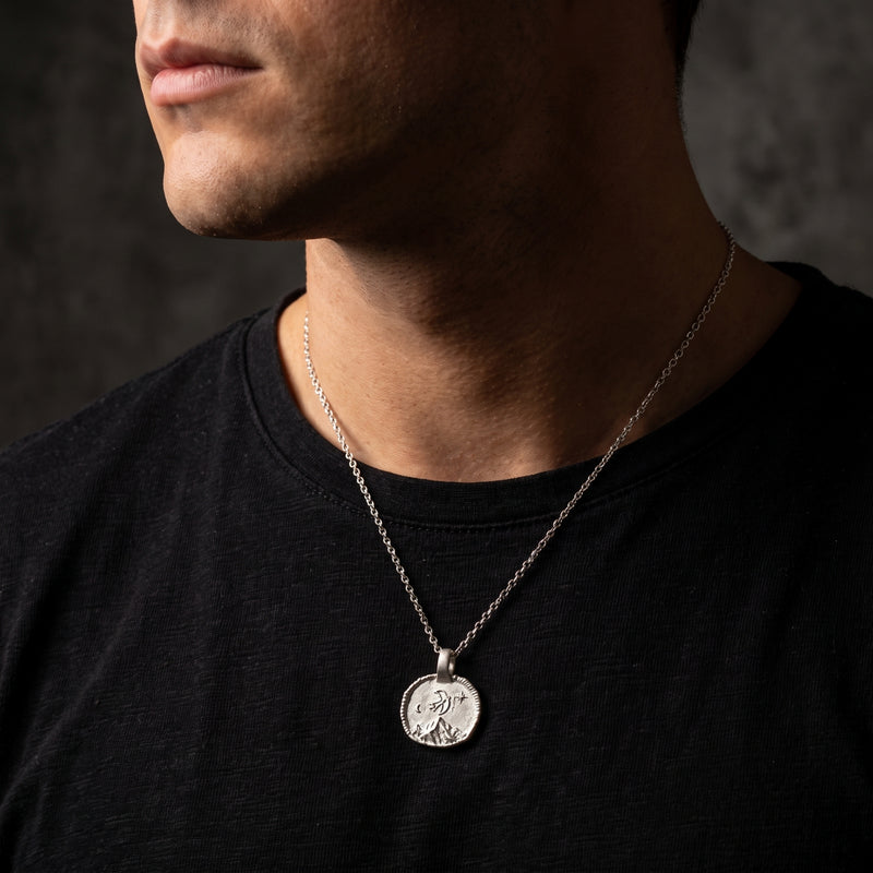 De Horizon-zwaluwketting