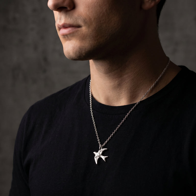 Le collier de l’hirondelle en plein vol