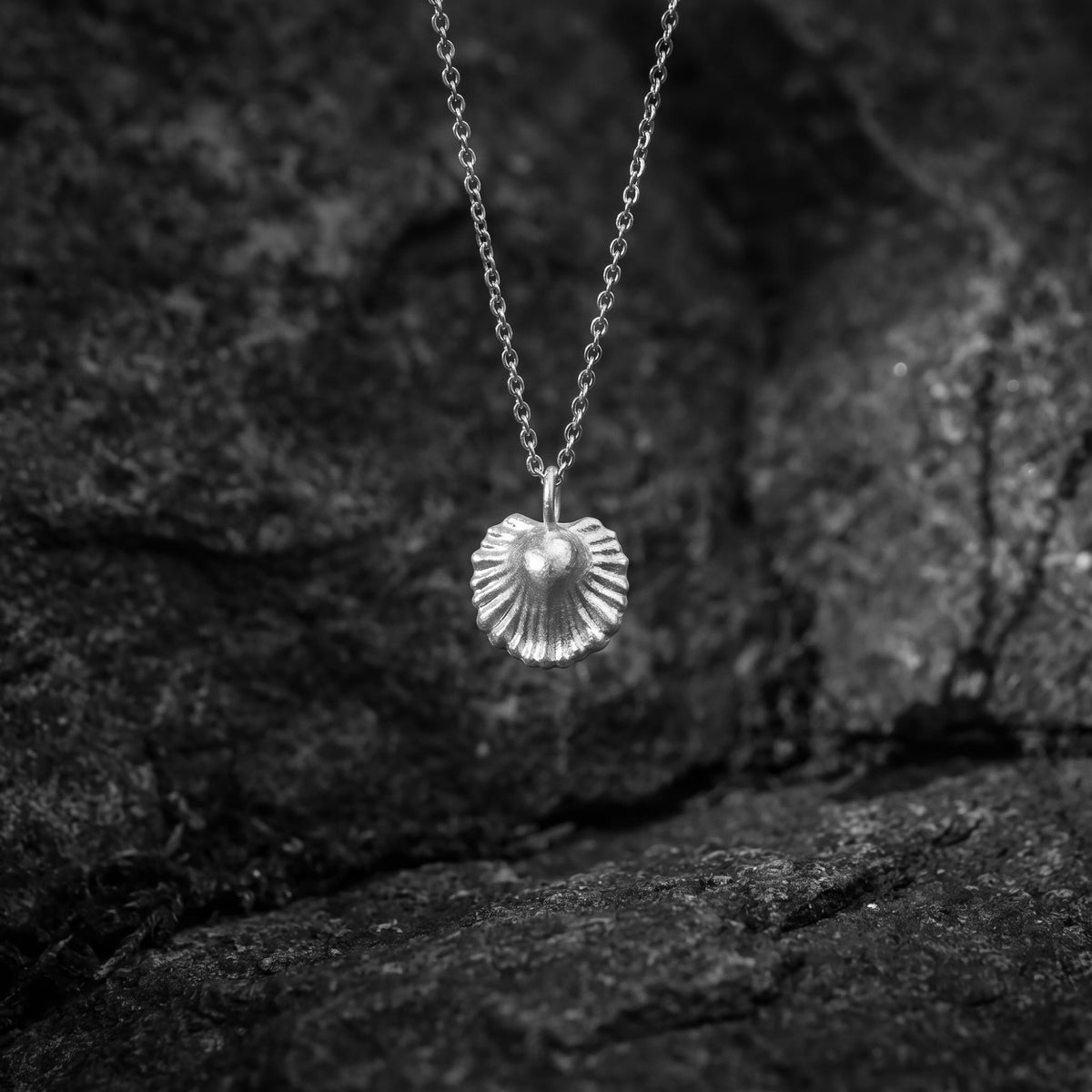 Collier pendentif coquillage Scallop Shell