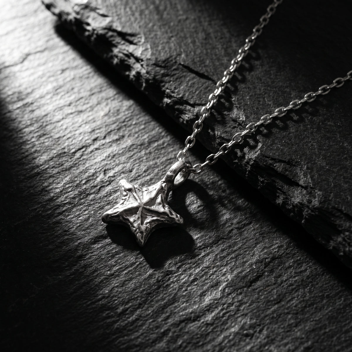 De ketting met hanger Astra Starburst
