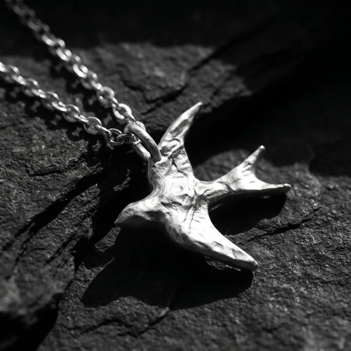Le collier de l’hirondelle en plein vol