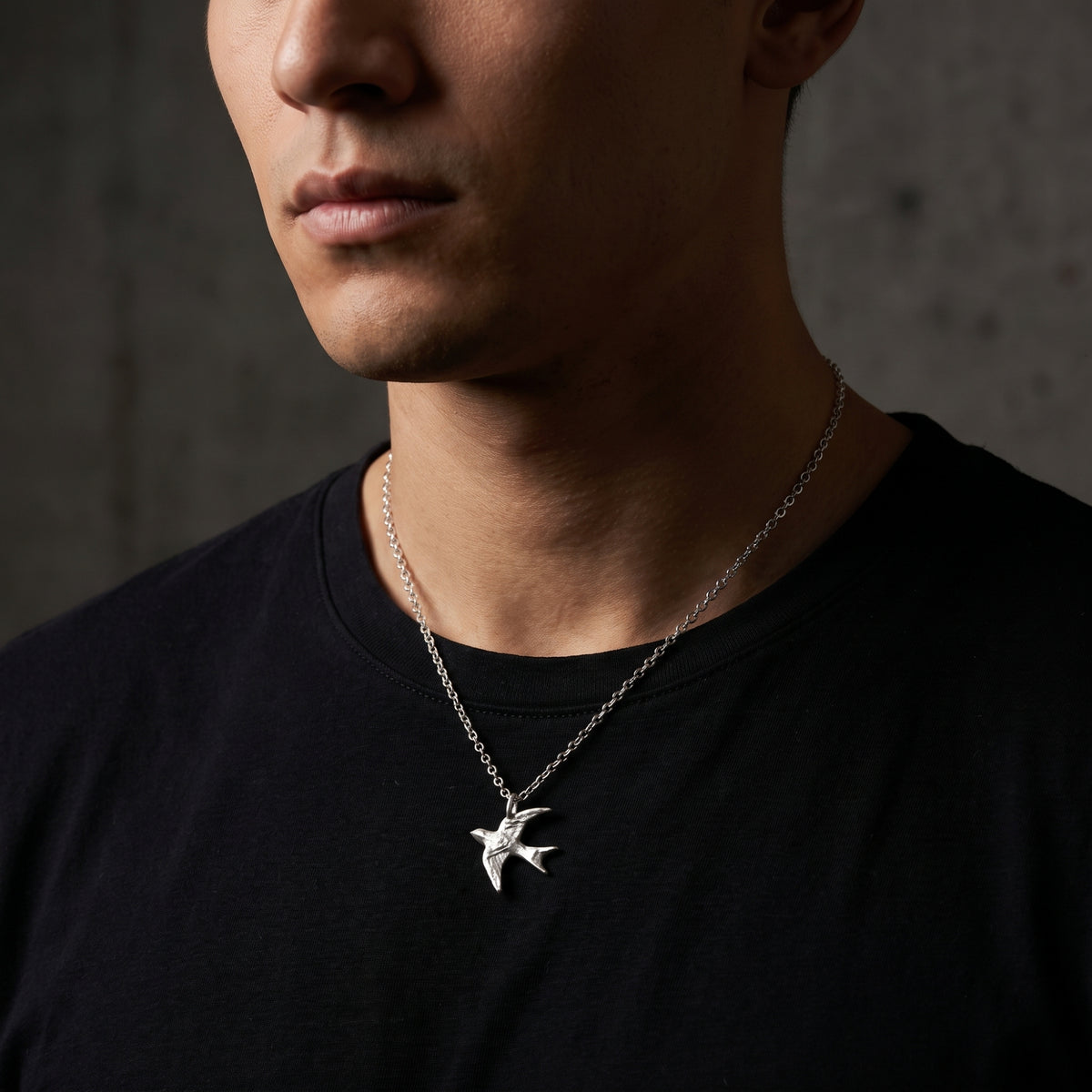 Le collier de l’hirondelle en plein vol