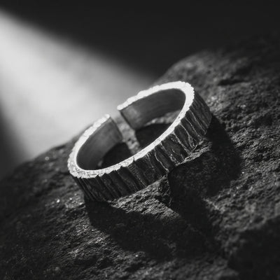 YLQ49993-rings rotation video