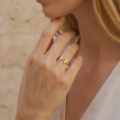 YLQ49619-ring lifestyle video